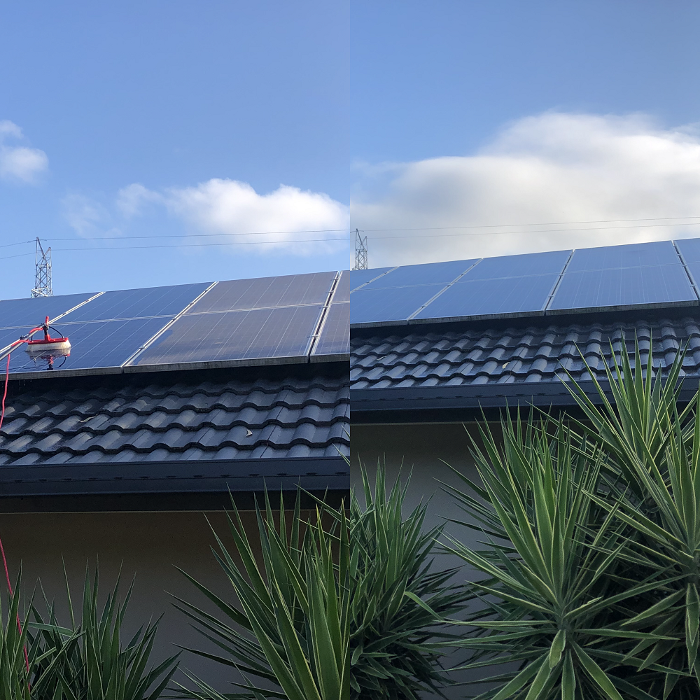 SOLAR PANEL CLEANING